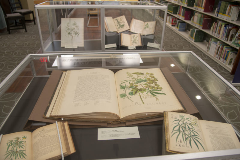 Museum collections