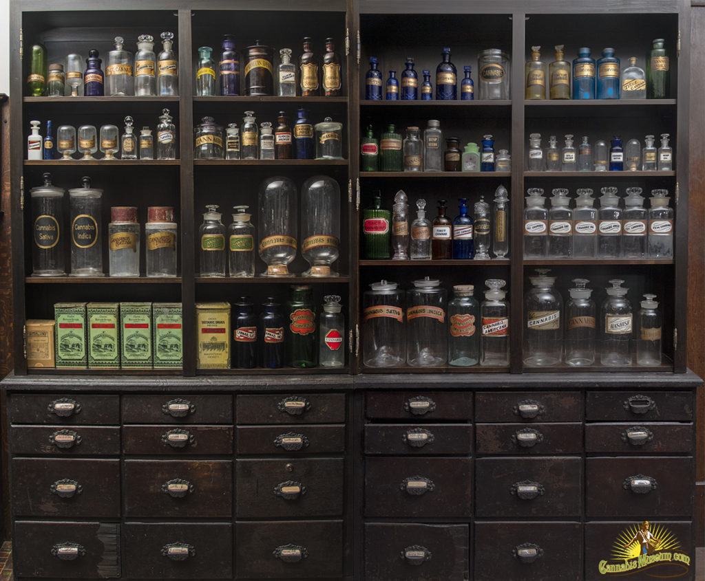 Cannabis Museum archive