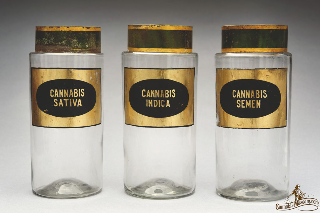 Cannabis Sativa, Indica and Semen Glass Jars