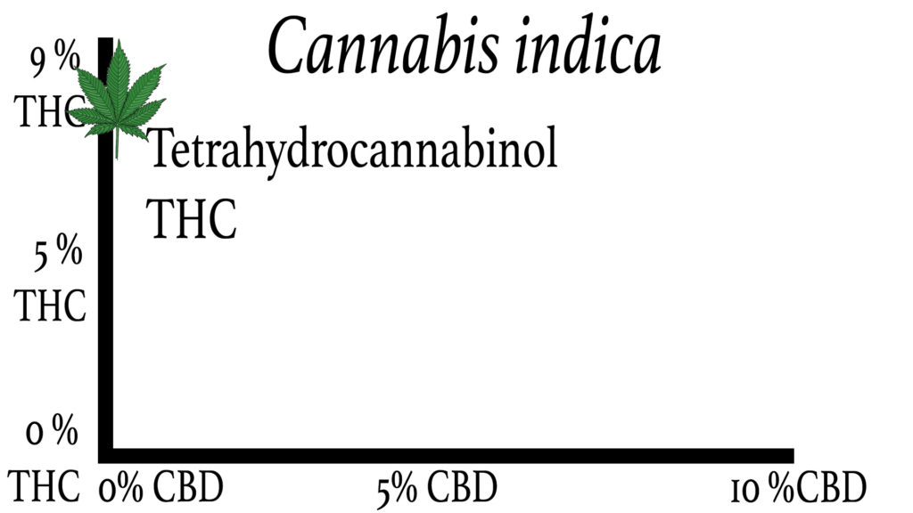 Cannabis Indica THC and CBD Levels Chart Graph