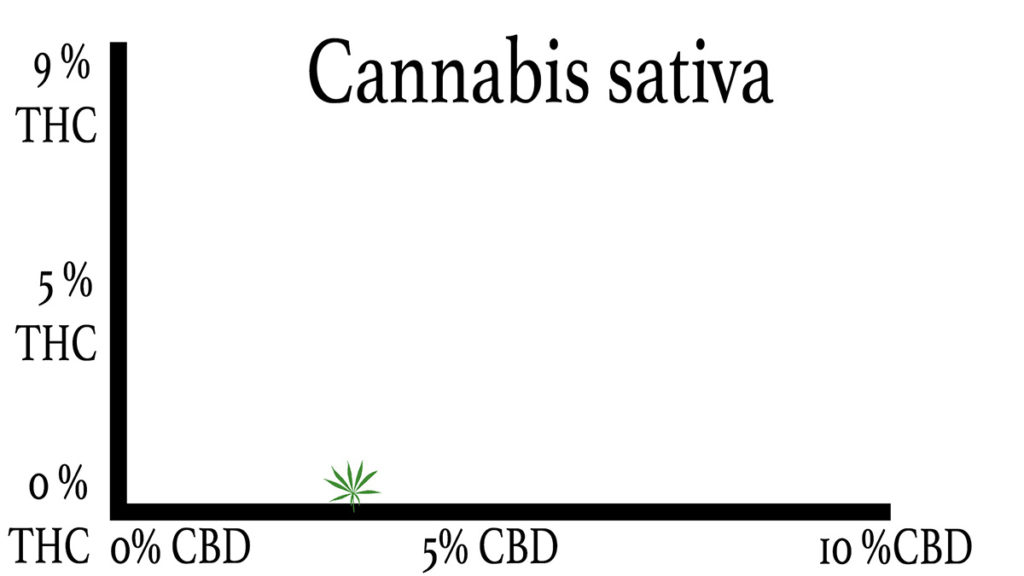 Cannabis Sativa THC and CBD Levels Chart Graph