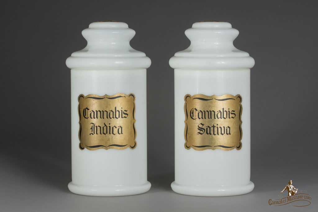 Identical Milk White Cannabis Sativa and Indica Bottles